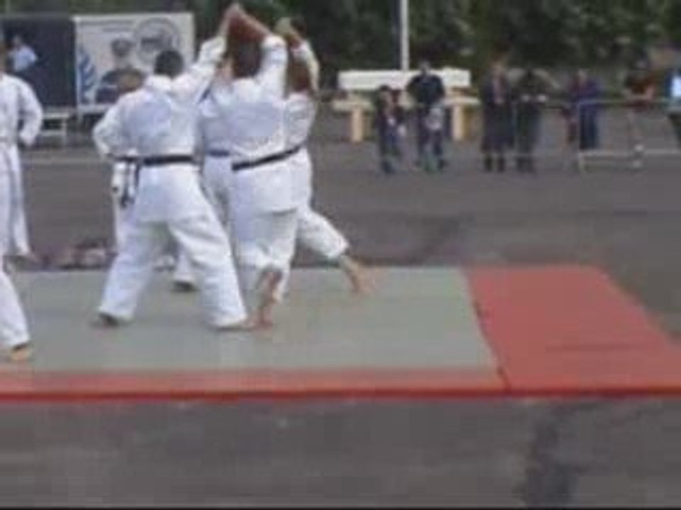 karaté wado ryu