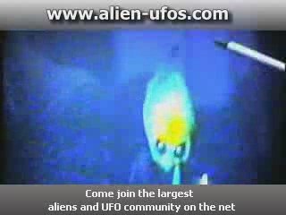 area 51 - the alien interview