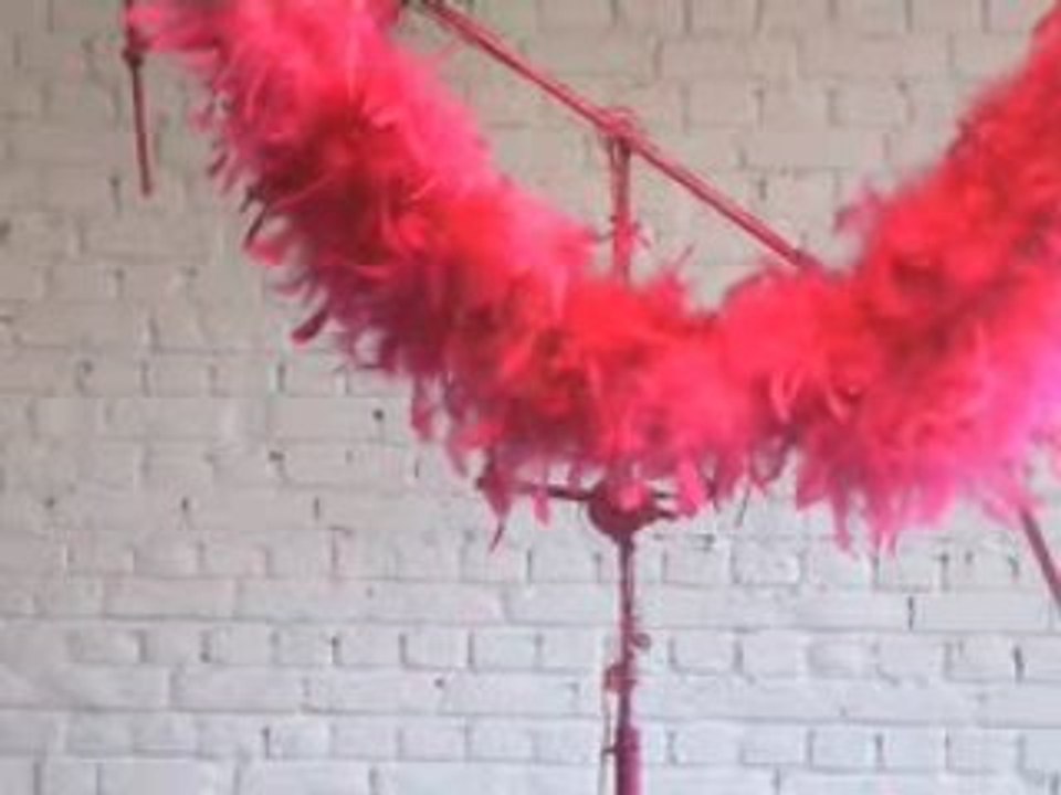 couleur de plumes Piet.sO 2008