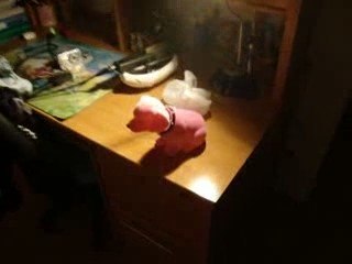 bonne vidéo petite fille =D