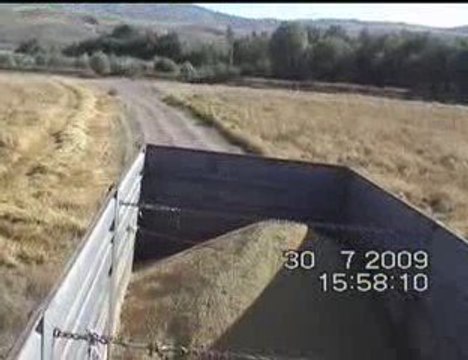 OKATAN CIFTLIGI - BUGDAY BICIMI