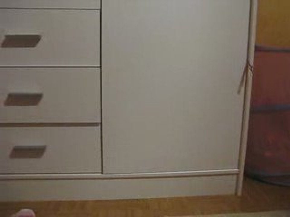 Lylou joue à cache-cache