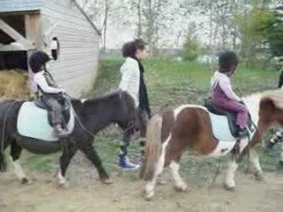 1ère sortie a cheval