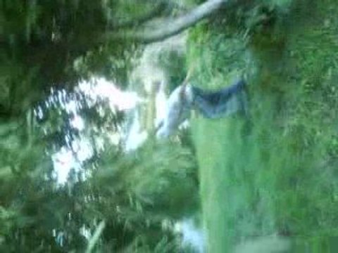 l'homme de cro-magnon ^^