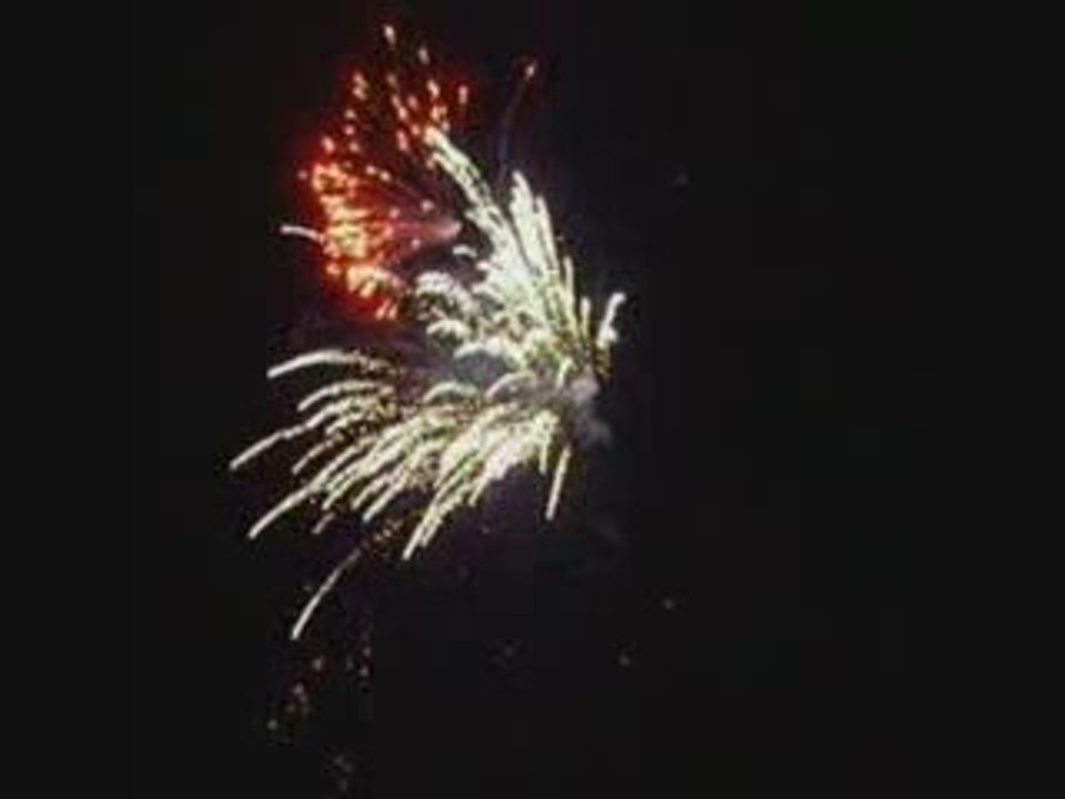 GUARDIAFUOCHI2