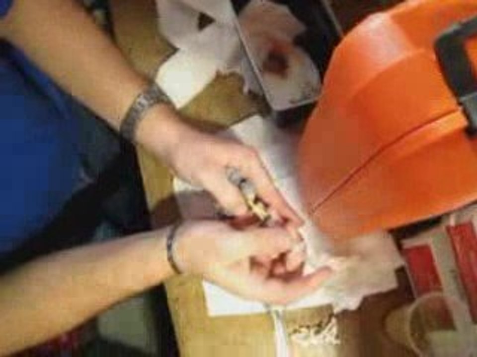 2 bébés perruches ( piyou et youpi )