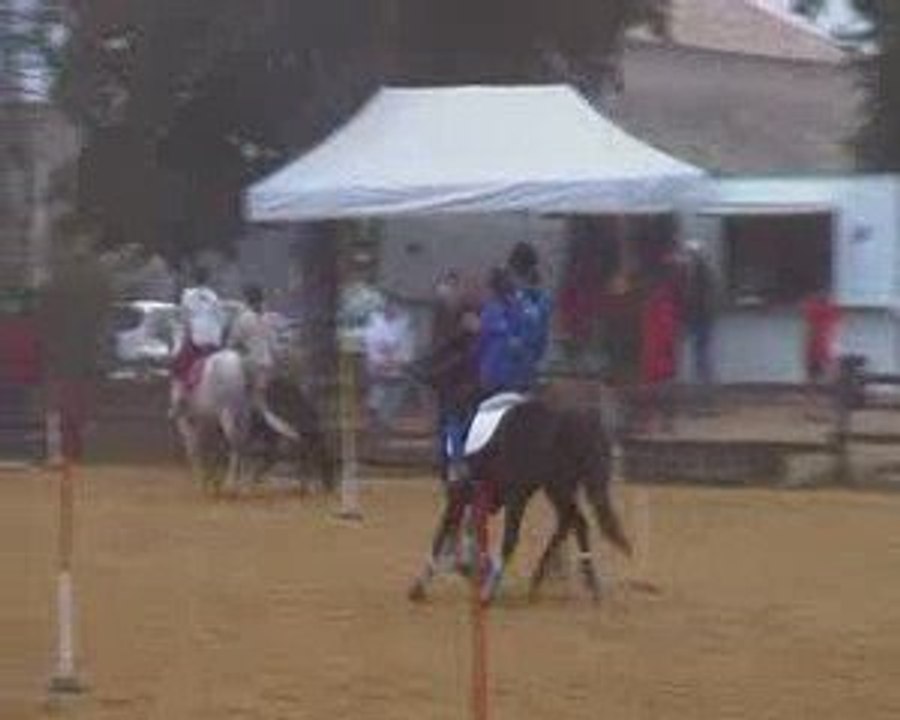 Apple Five Logis du Poney