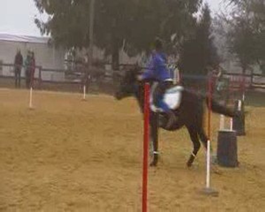 Apple Five Logis du Poney