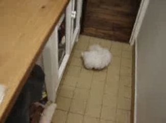 Iris bébé 02 !!!