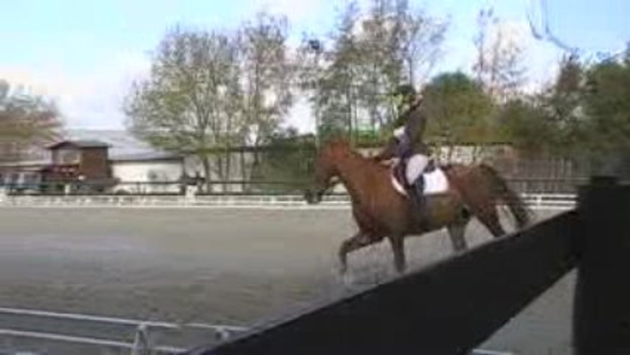 CCE Dressage / Maud Aline - Quinté