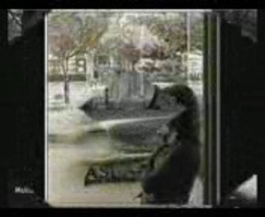 FERDİ TAYFUR yine bugün sensiz