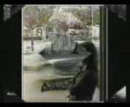 FERDİ TAYFUR yine bugün sensiz