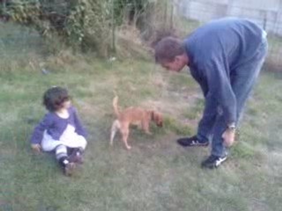 L'éclate dans le jardin.