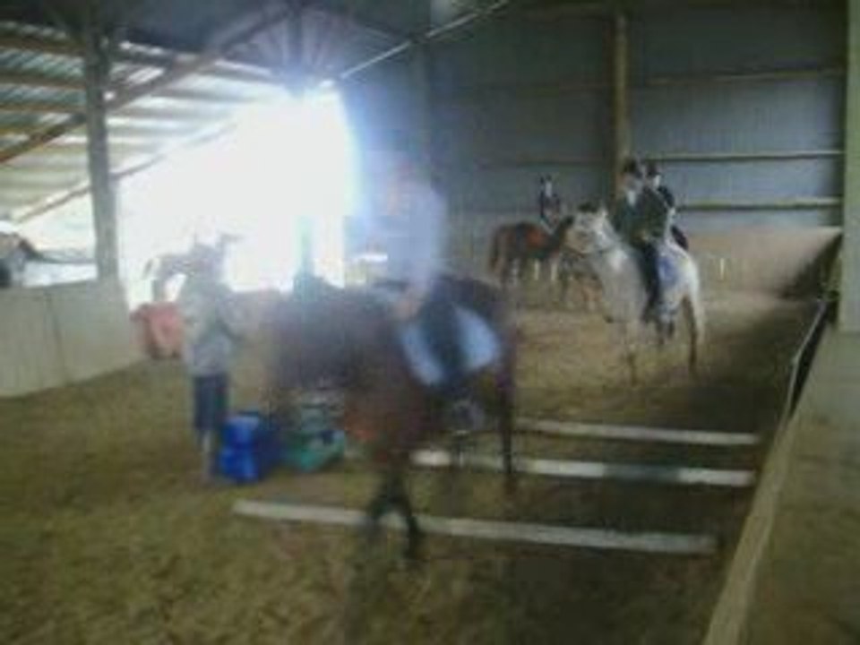 Travail sur les barres à terre avec les poulains ^^