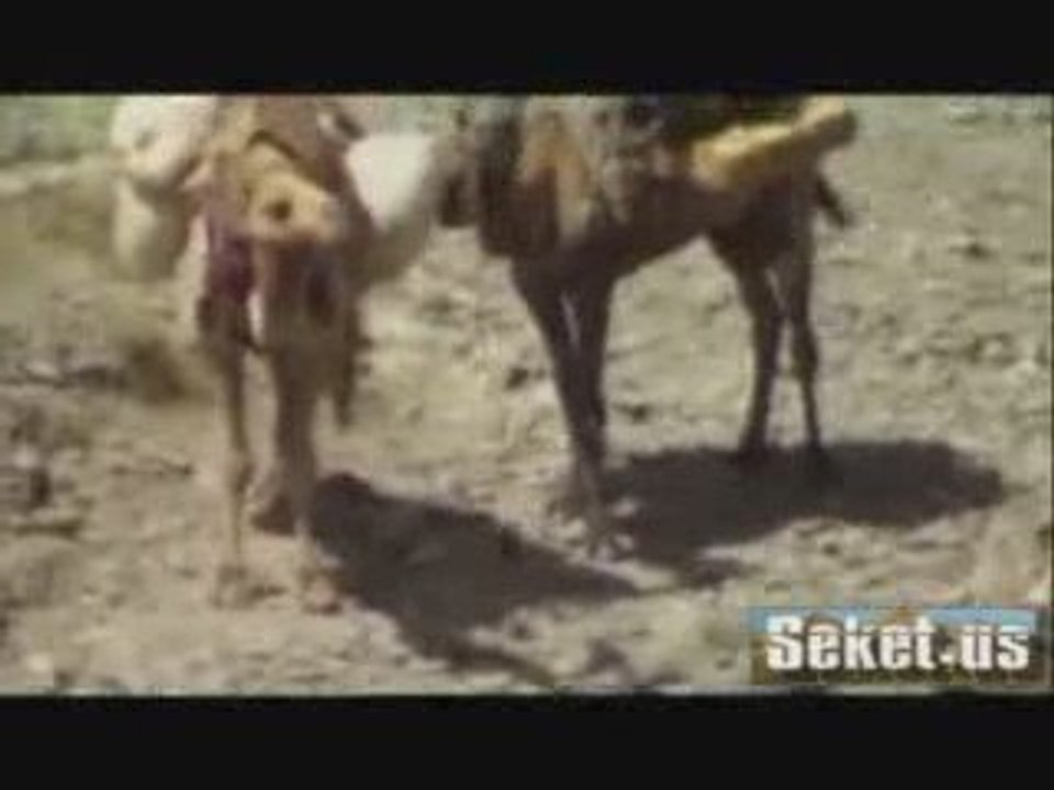 Lil Wayne - Run This Town