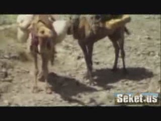 Lil Wayne - Run This Town