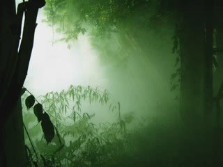 Eluveitie - The Arcane Dominion