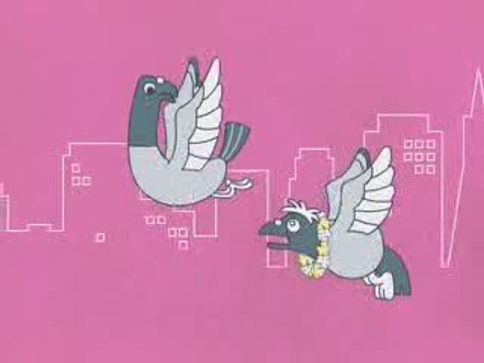 Nature Break - Pigeons #04
