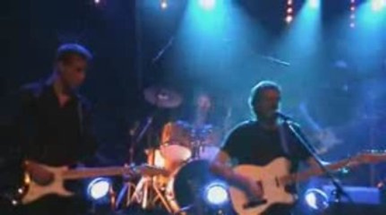 100% live  Les oiseaux de passage