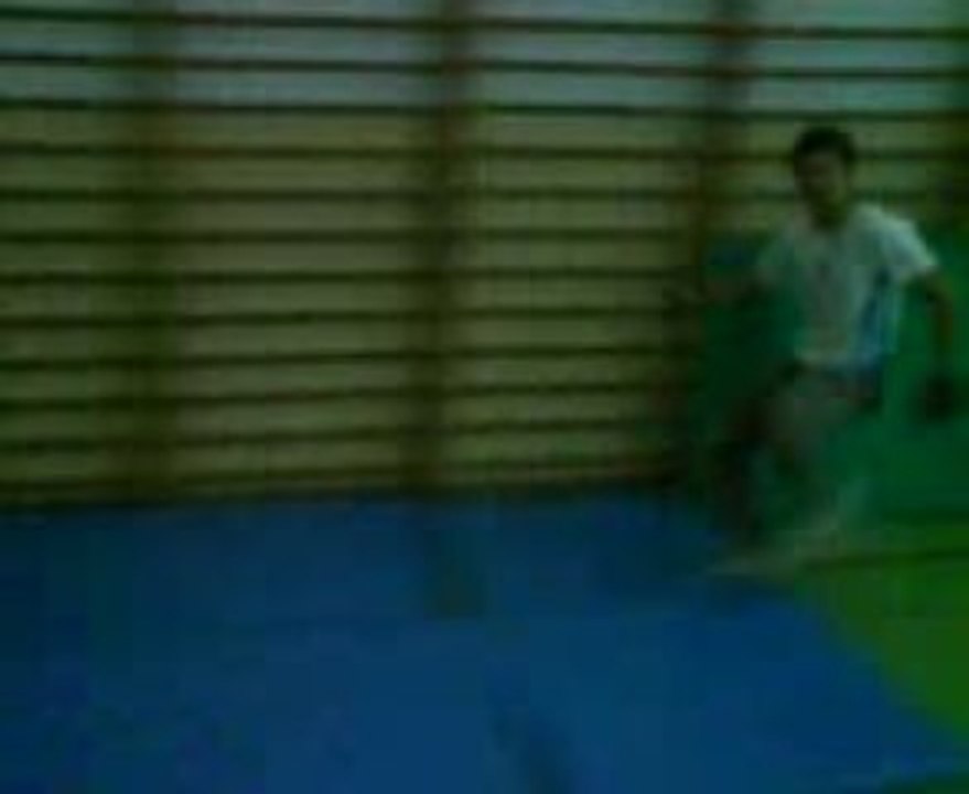 Wallflip