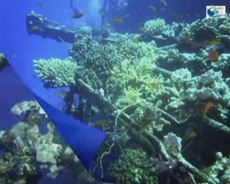 Plongée épave Salem express SAFAGA EGYPTE octobre 2009