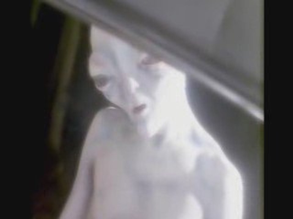 The Greys Video