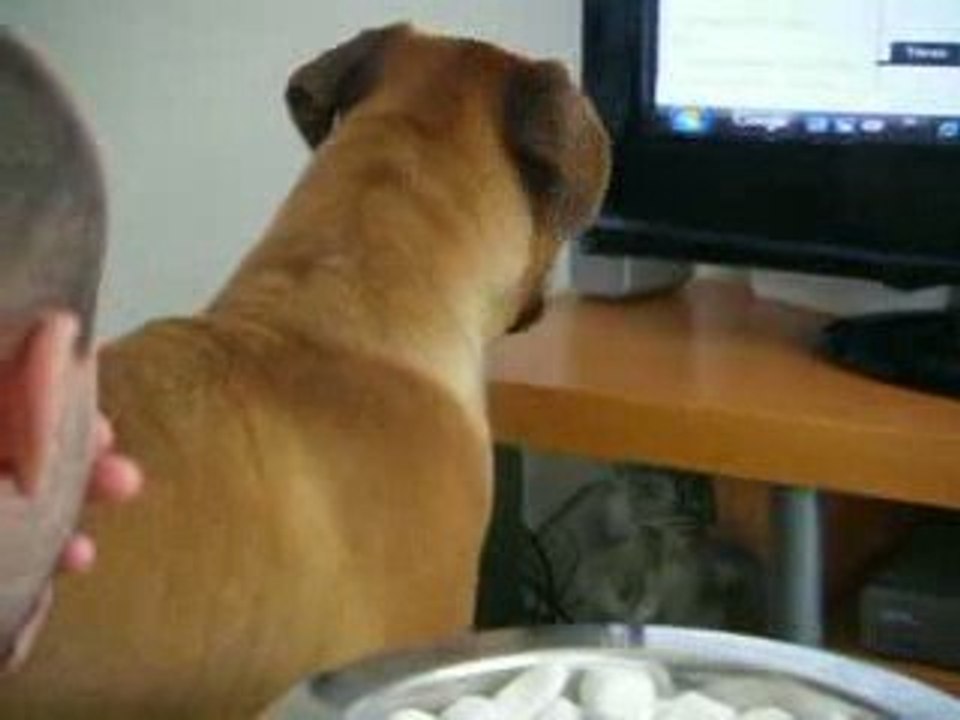 ewok de la caverne des crocs mignons