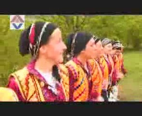 hayri yaşar karagülle 2008 vur elleri