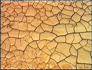 H. YAHYA LES NATIONS DISPARUES 3