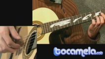 Gran Vals - Francisco Tárrega [Tutorial Guitarra]