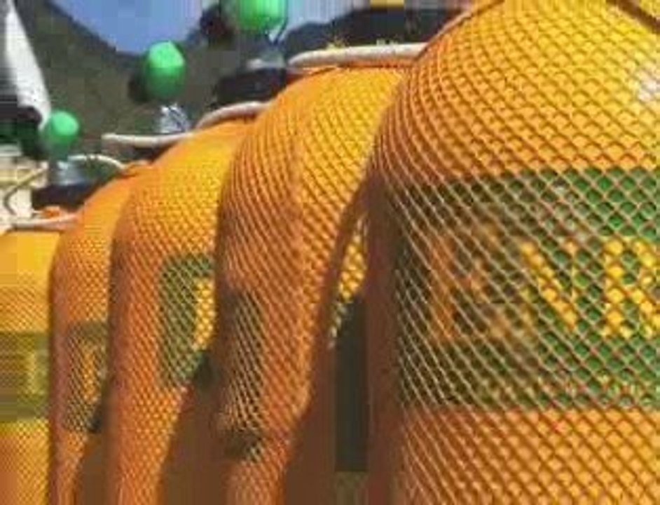 Bateaux Bathys Diving Moorea, Tahiti, Bora bora