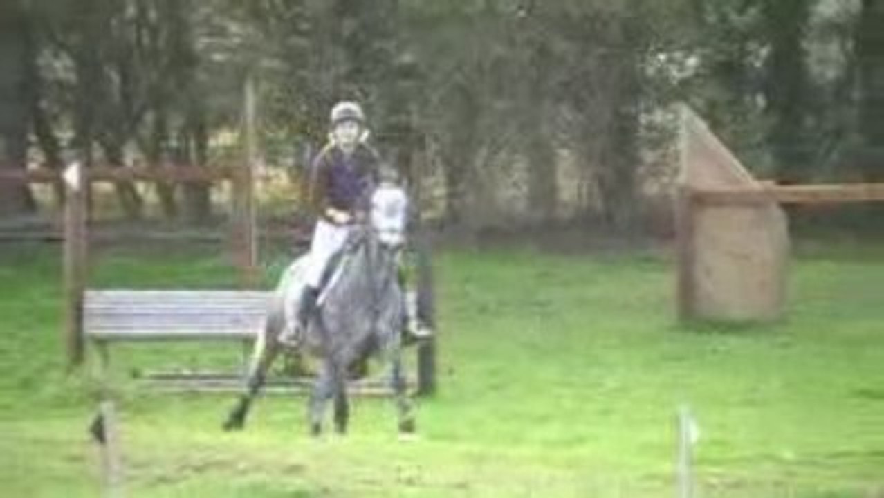 CCE Cross / Adèle - Palodia