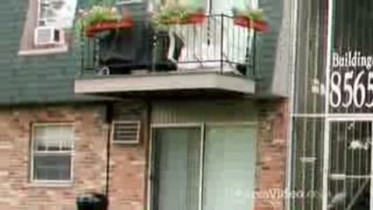 ScenicTree Condominiums in Palos Hills, IL-ForRent.com