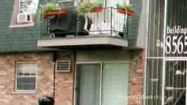 ScenicTree Condominiums in Palos Hills, IL-ForRent.com