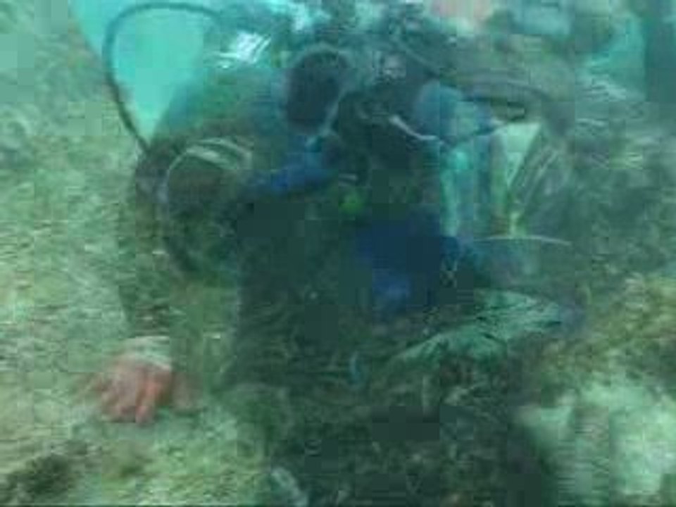 Initiatives Océanes 2009 Marseille