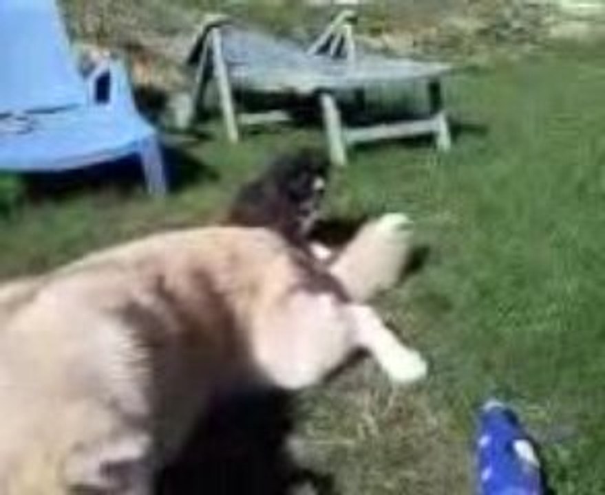 Eiko_4 semaines_joue