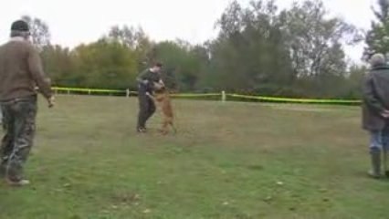 Dusty APE défense du maitre