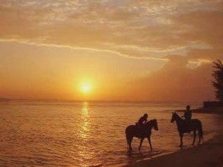 **Si tu te souviens**