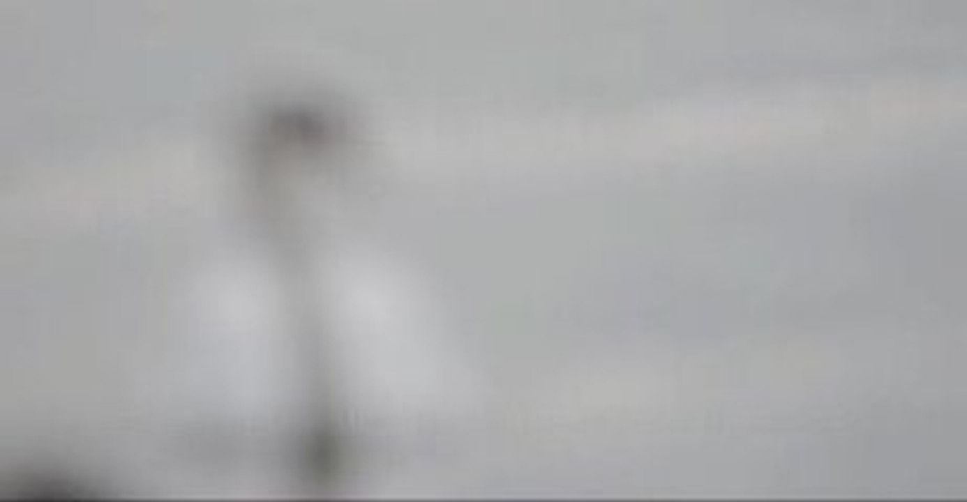Les Cygnes de La Bassee