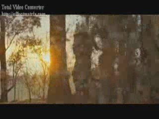 Arkadaşım Canavar - Where the Wild Things Are