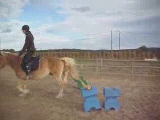 Quadjar en saut d' obstacles 3.