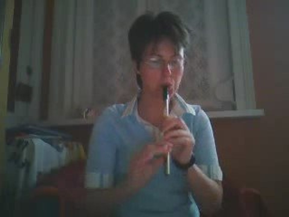 The boys of Bluehill (irish tin whistle)