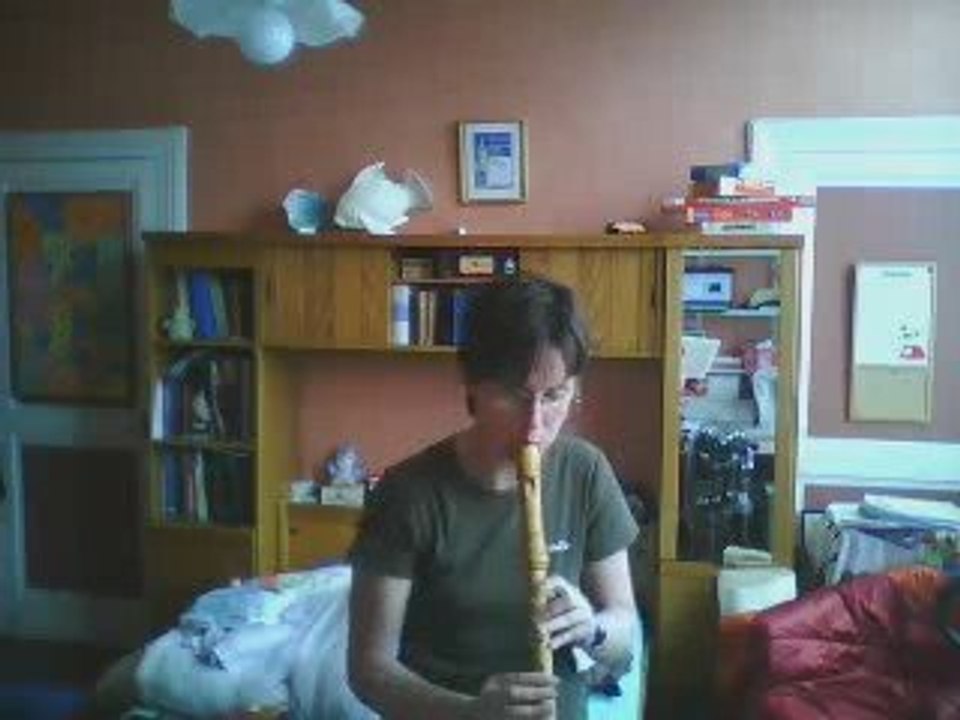 Veracini Sonata sesta mouvement 2 allegro