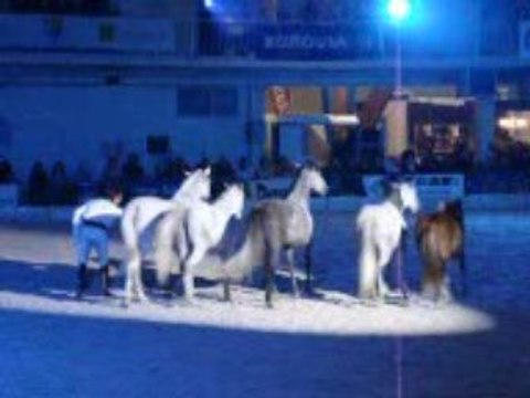 Jean-François Pignon salon Equi champ' 2009 Partie 3