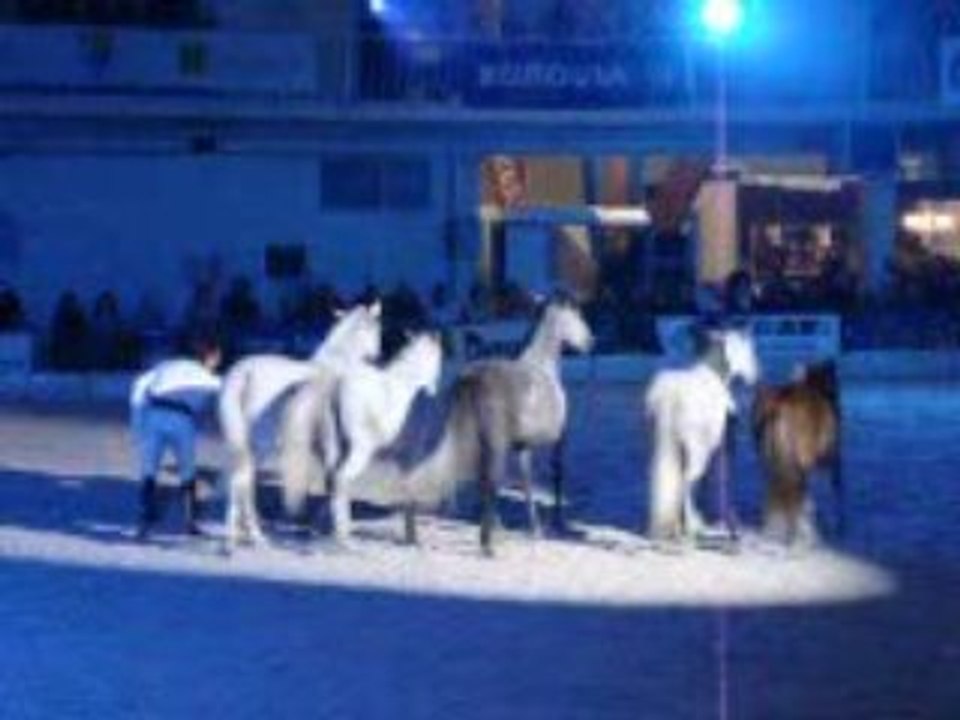 Jean-François Pignon salon Equi champ' 2009 Partie 3