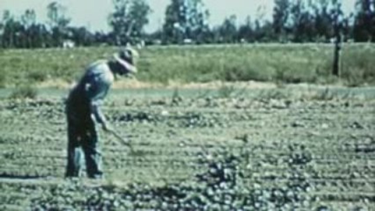 COLLAPSE Official Trailer HD