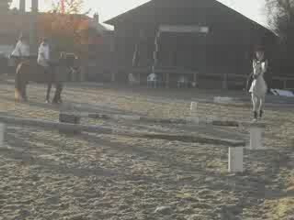 Colombe - Obstacle