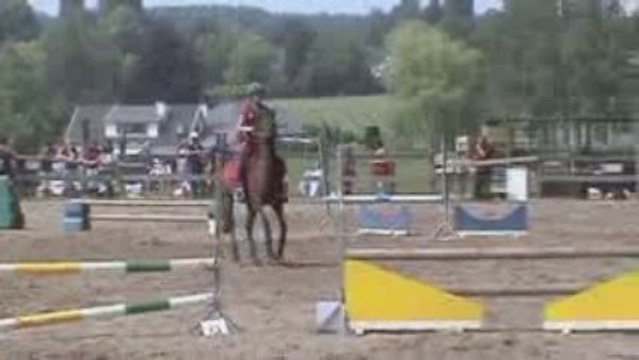 jumping steerebeek des jeunes chevaux