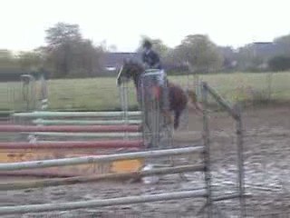 CSO à Isoré avec le poney le 25/10/09