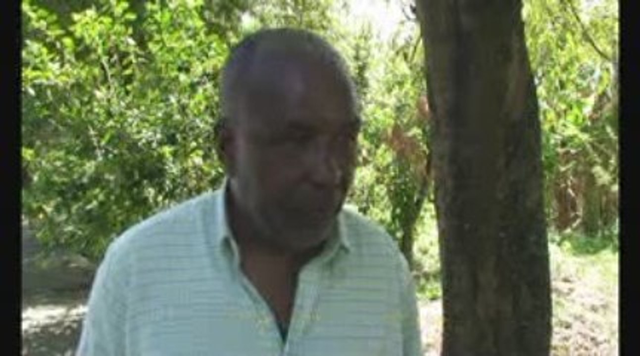 Los Cocolos (2009)